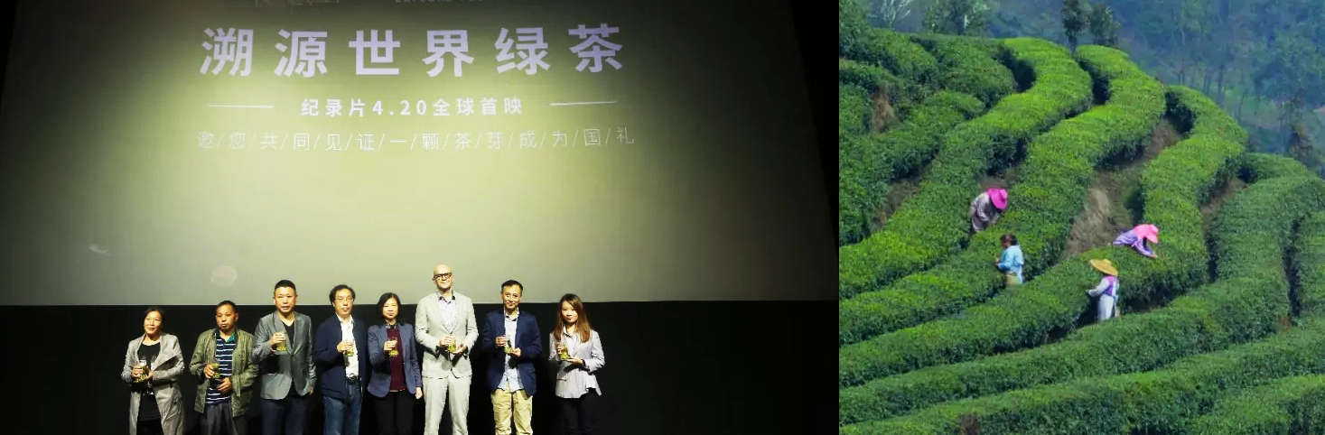 峨眉高山绿茶，串起时光传奇